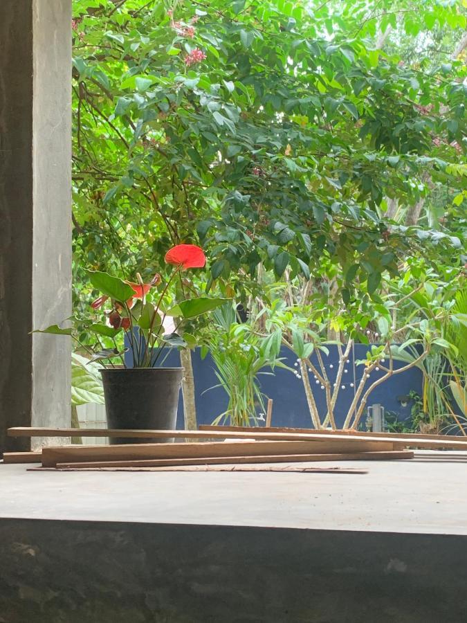 Pranaya Hiriketiya Hostel Dikwella Ngoại thất bức ảnh