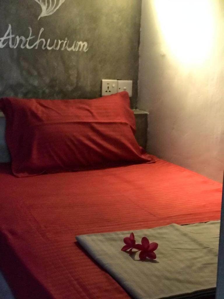 Pranaya Hiriketiya Hostel Dikwella Ngoại thất bức ảnh